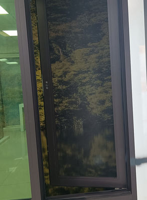 Janela giratória de alumínio anodizada de moda