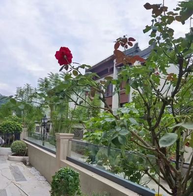 Barranco de vidro de alumínio flexível de canal U