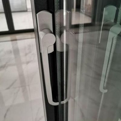 Dimensões personalizadas Portas exteriores de alumínio duplicadas Isolamento térmico multi-panel durável